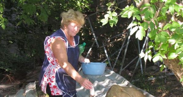 По кафе гуляет...львенок