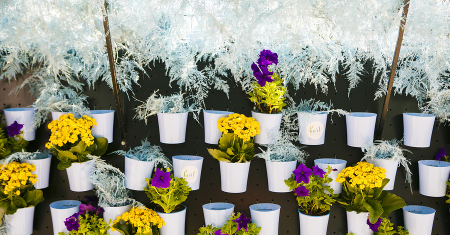 В Харькове появилась необычная цветочная галерея под открытым небом