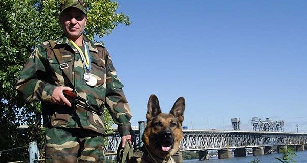 Лучший сторожевой пес ПЖД в юности - по глупости! - едва не загрыз барашка