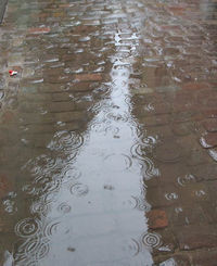 Сегодня дончанам пригодятся зонтики