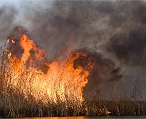 Всю Одессу затянуло дымом