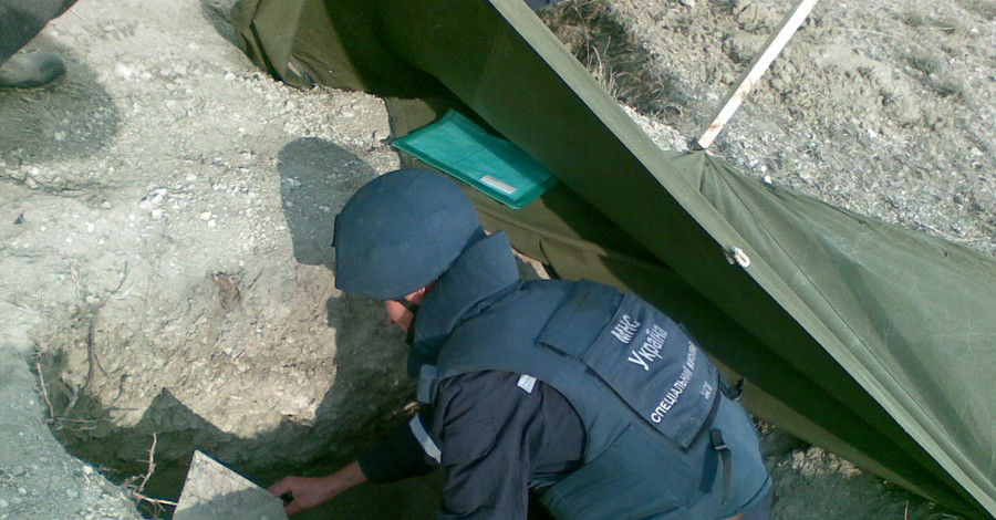 Из-за угрозы взрыва бомбы в Керчи эвакуировали людей и коров