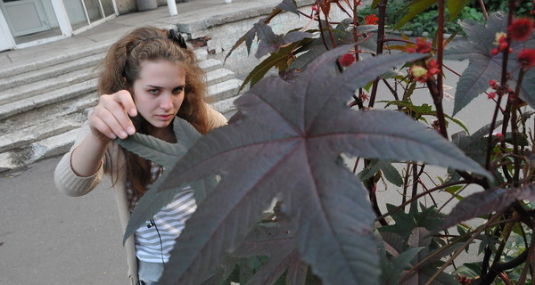 Донецкие дети отравились бусами с ядом 