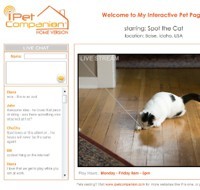 Создана первая интернет-игра для кошек и собак