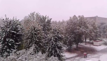 В Виннице выпал первый снег