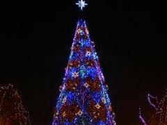 Украина подарит Ватикану главную рождественскую елку