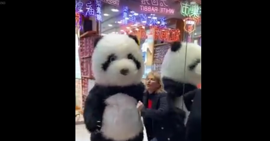 Ирина Луценко станцевала с пандой в свой день рождения