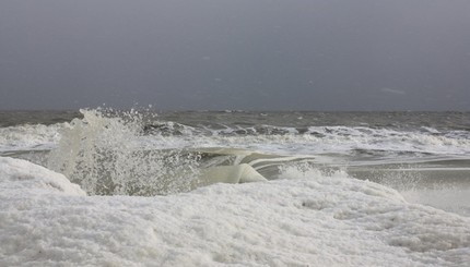 Азовское море сковало льдом