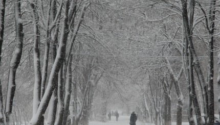 В Запорожье пришел долгожданный снегопад