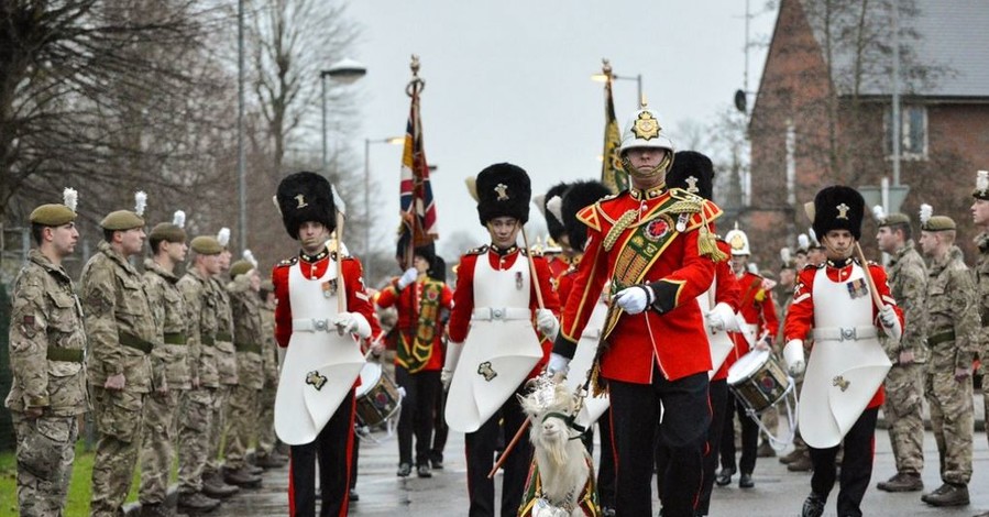 В рядах британской армии появился козел