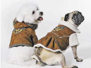дубленки для собак - Дог-Бутик одежда для собак