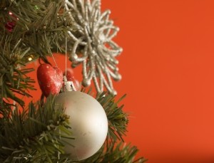 Одесситам к Новому году предлагают елки напрокат