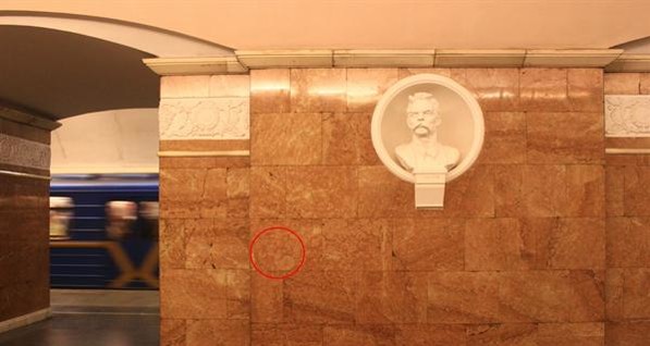 Ищем в подземке останки древних животных