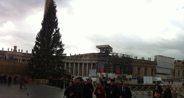 В Ватикане зажгли елку, которую украинцы подарили Папе Римскому на Рождество