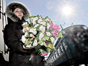 Крымские первоцветы перепутали зиму с весной 