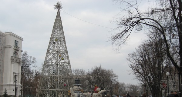 В городе зажгут 25 новогодних елок