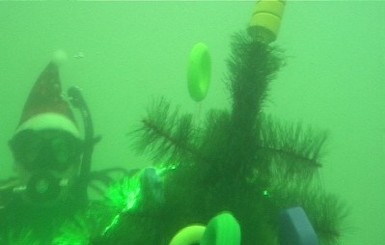 В Мариуполе дайверы установили елку под водой
