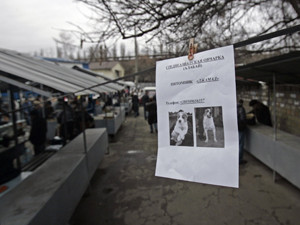Из-за бешенства в Киеве запретили продавать собак и кошек
