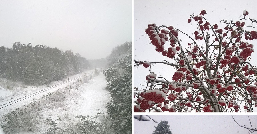 Города Украины засыпает снегом: фото соцсетей