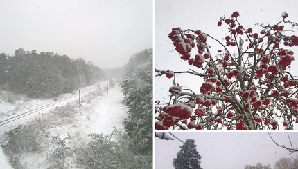 Города Украины засыпает снегом: фото соцсетей