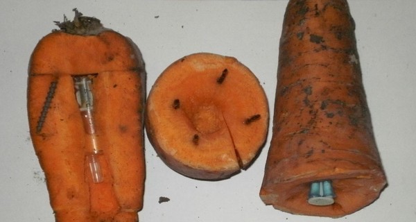 В Харькове за решетку передавали морковку, начиненную шприцами