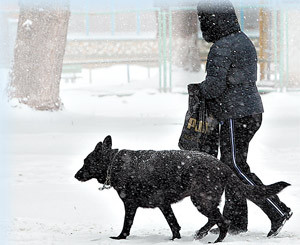 Украину продолжит засыпать снегом