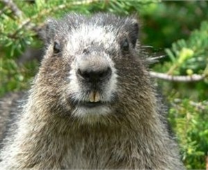 На выходных в Крым придет тепло