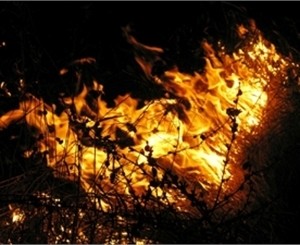 На даче в Крыму сгорели люди