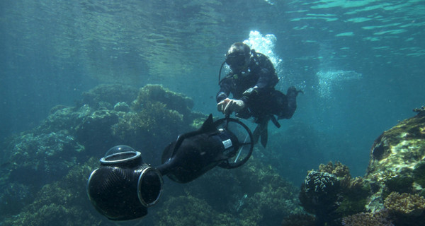 Ученые и Google проводят панорамную съемку Кораллового моря