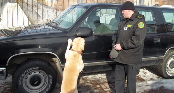 Днепропетровские таможенные собаки будут искать наркотики в Австрии