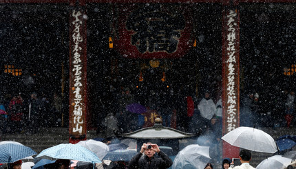 Токио впервые за 54 года накрыл ноябрьский снегопад 