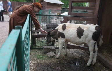 Почему вымирает Киевский зоопарк?