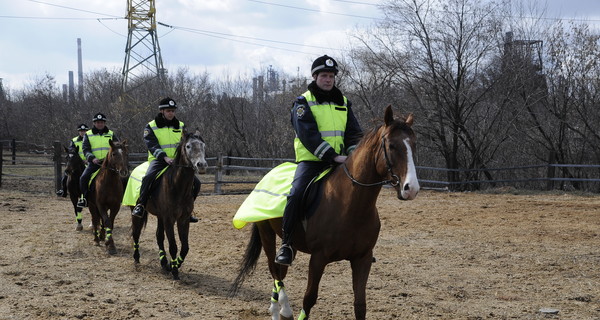 В Донецке стало в полтора раза больше милицейских лошадей