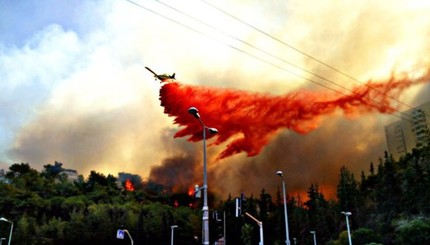 В Израиле вспыхнул масштабный пожар