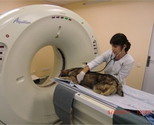 В Донецке открыли ветклинику с 