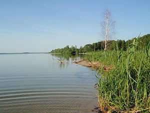 Ученые: Беларусь губит уникальные украинские озера