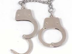 В Израиле арестовали украинского депутата за семейный скандал