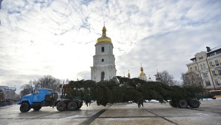 В Киев привезли главную елку страны 