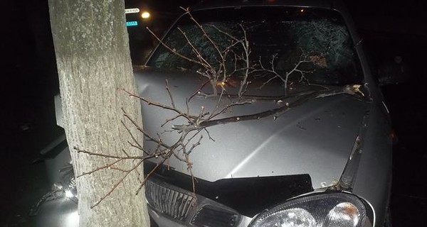 Выпивший папаша решил прокатить четверых детей: авто влетело в дерево