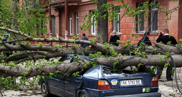 В Крыму ураган срывает крыши и ломает деревья