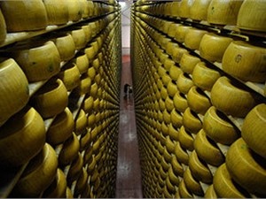 Украинский сыр по-прежнему не пускают в Россию