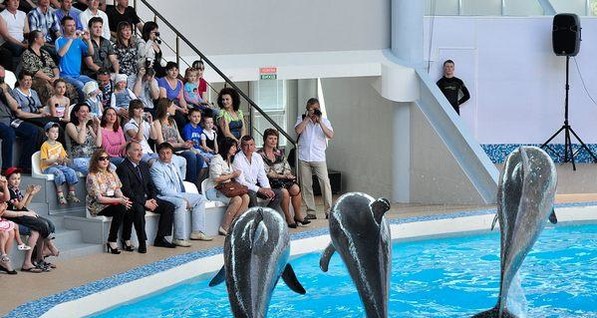 В Крыму открыли самый большой в стране дельфинарий 