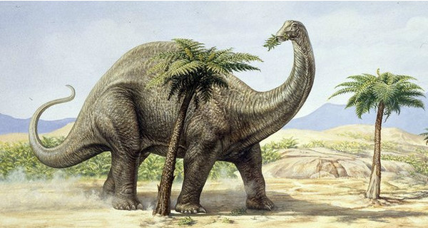 Динозавры изменили климат Земли своими кишечными газами
