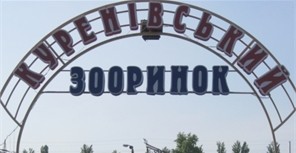 Проблемы Куреневского зоорынка: больные животные и жалобы ветеринаров