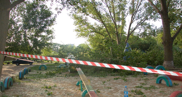 В Николаеве дерево раздавило детскую площадку