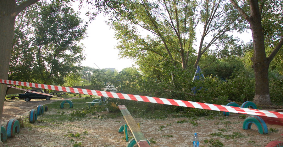 В Николаеве дерево раздавило детскую площадку