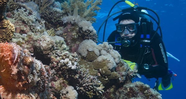 Как в страшном кино: в Египте туриста забыли в открытом море с аквалангом