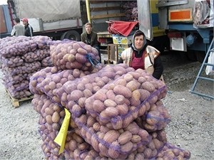 В Украине нашли картошку, зараженную раком
