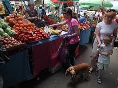 В Украине аграрии смогут собирать урожай два раз в год