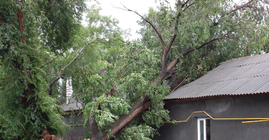 В Одесской области буря оставила без света 17 тысяч человек